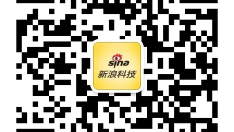 阿马杜左膝韧带损伤深度解析：申花球员伤停3月攻略